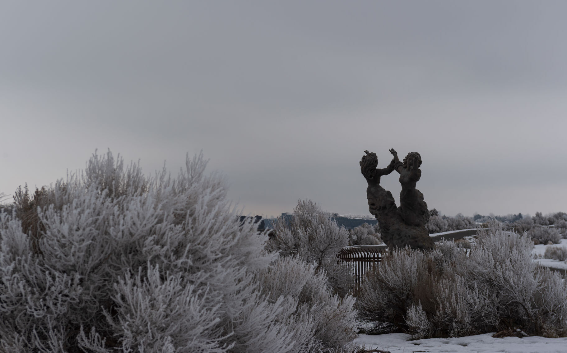 One frosty day